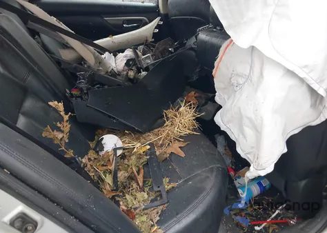 2014 Nissan Altima 2.5 Sl из США, поврежденный, VIN 1N4AL3AP3EN239566